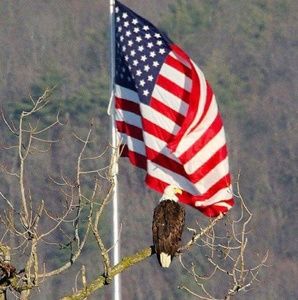 Meet your Posher, Dan